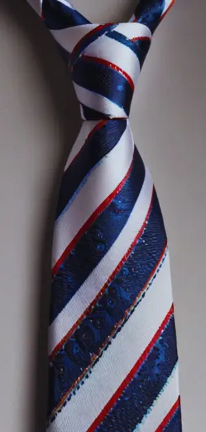 Paisley Pattern Polyester Ties for Men