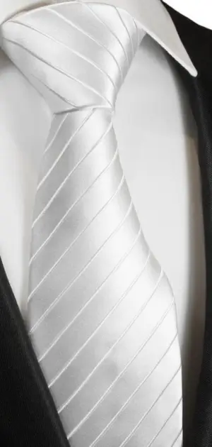 White tie attire for men featuring diagonal stripes, ideal for professional and formal wear.