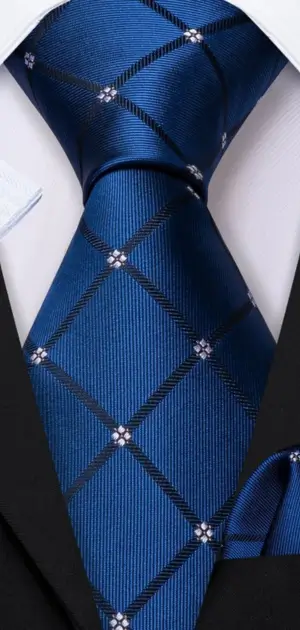 Men's royal blue tie features a checkered pattern with floral details, which is ideal for formal occasions.