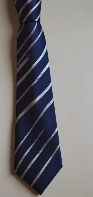 A wedding setup with groomsmen wearing solid burgundy and navy minimalist ties.